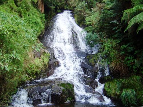 Cascata V�u de Noiva - S. J. dos Ausentes - RS 